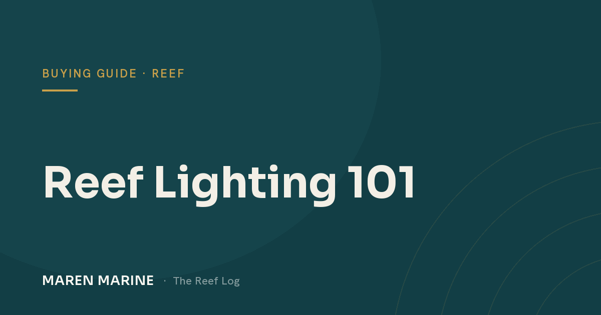 Reef Lighting 101: Choosing an LED That Actually Grows Coral