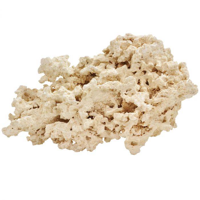 brs-dry-reef-rock