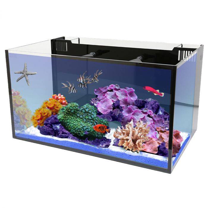 nuvo-fusion-20-aio