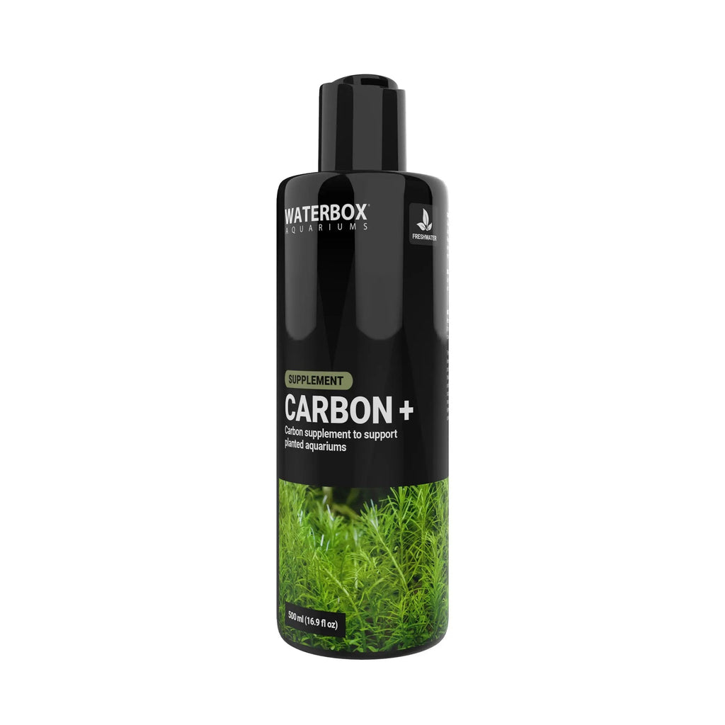 Carbon+