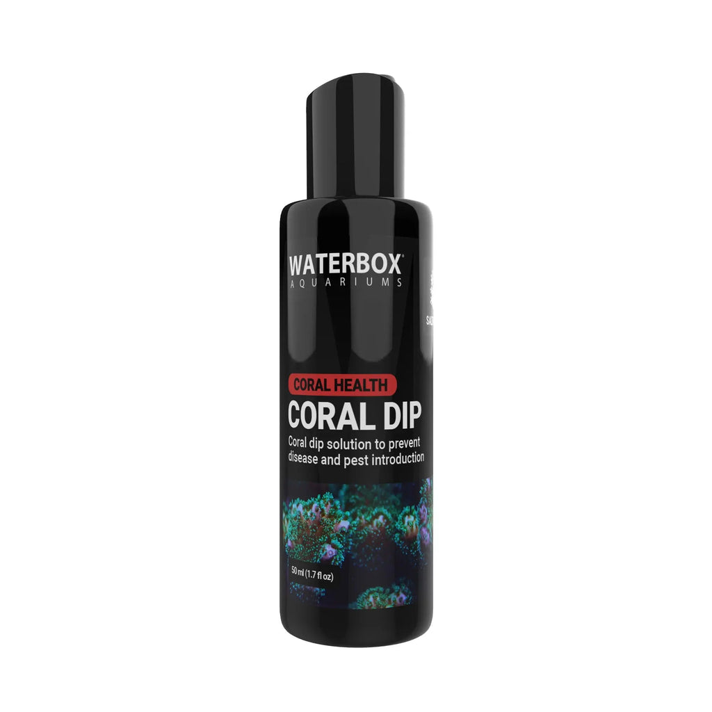 Coral Dip