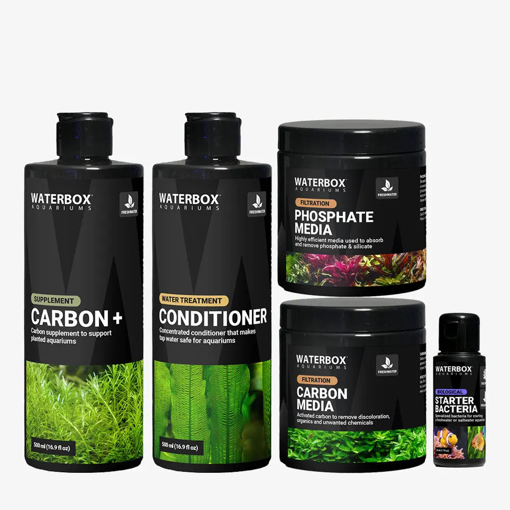 Freshwater Starter Bundle