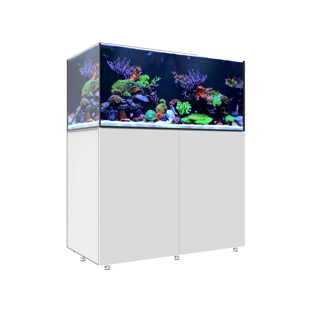 INFINIA Reef 150.4