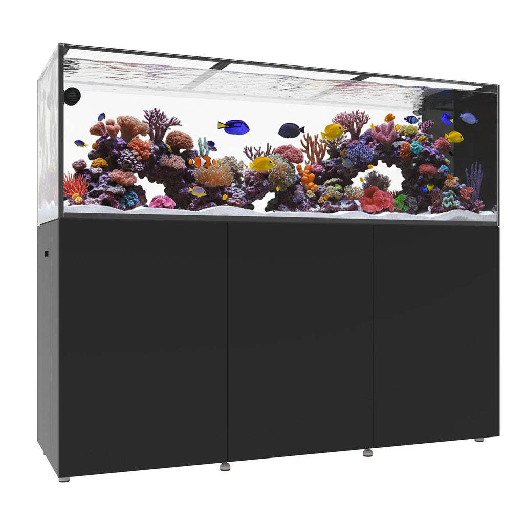 INFINIA PENINSULA 7225