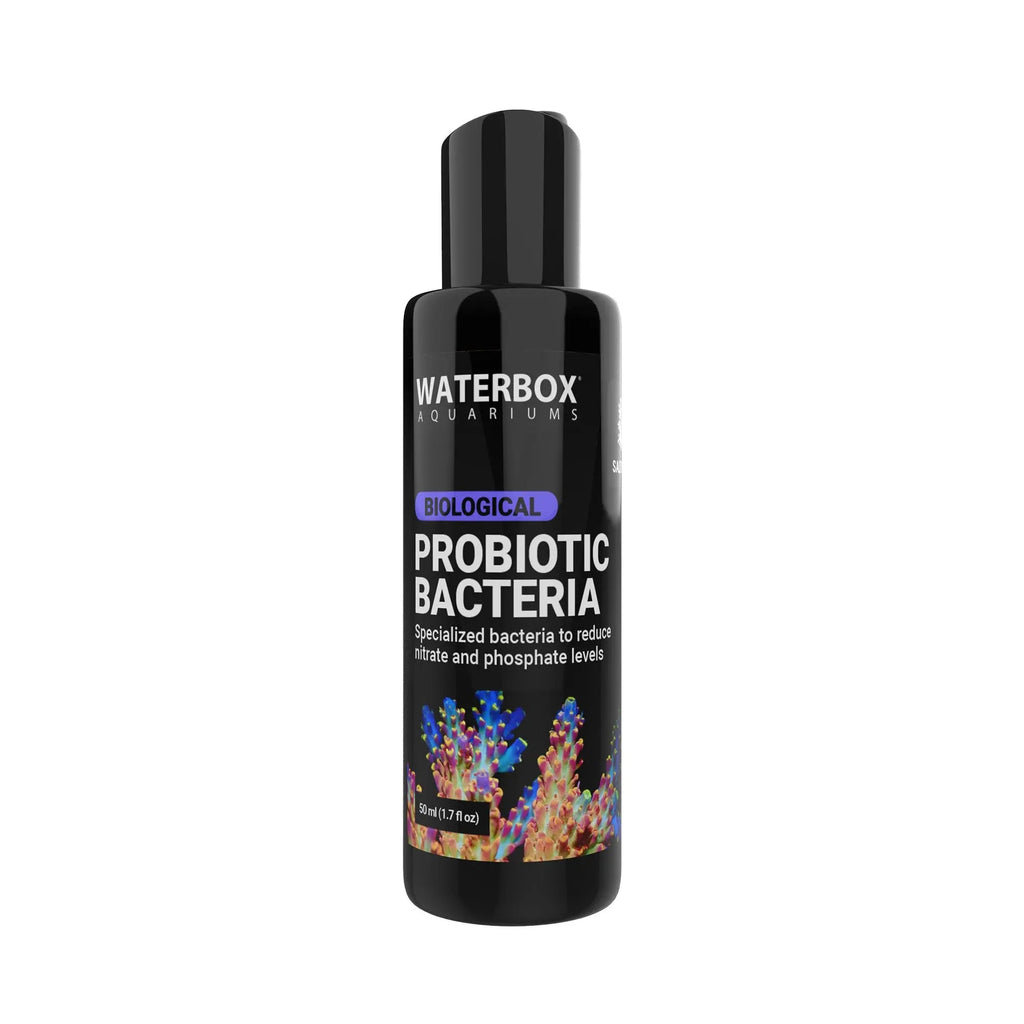 Probiotic Bacteria