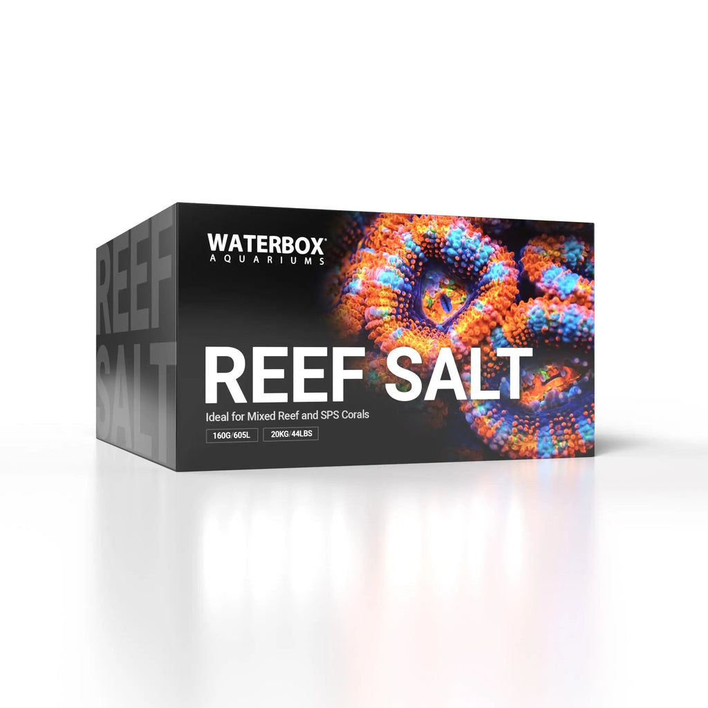 Saltwater Complete Bundle