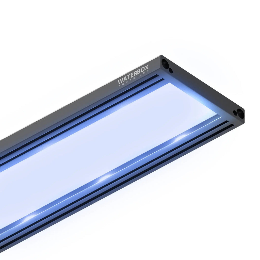 Saltwater LED Lighting System (SLED)