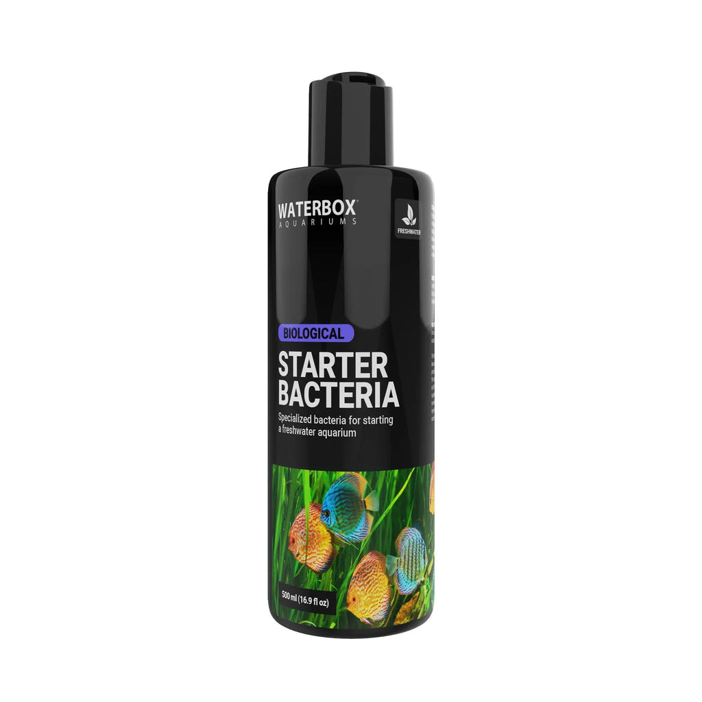 Freshwater Starter Bacteria
