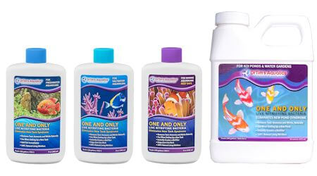 dr-tim-s-dennerle-bacteria-starter