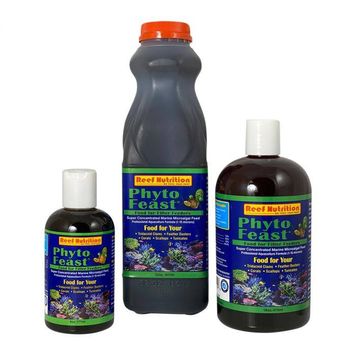 reef-nutrition-phyto