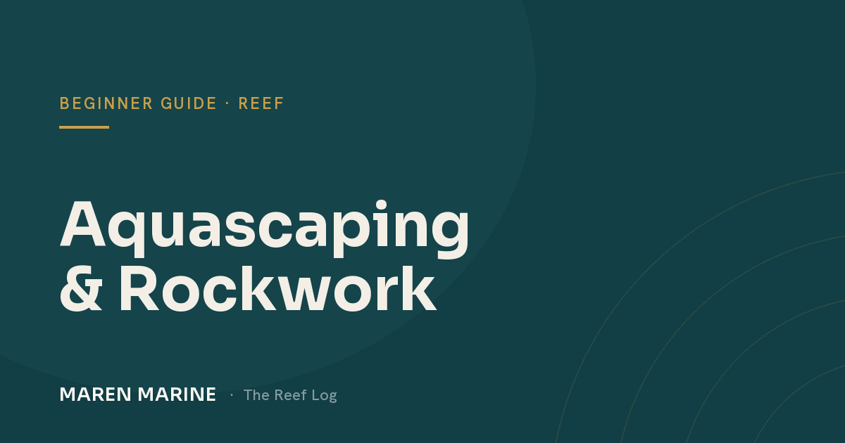 Aquascaping & Rockwork: Building Reef Structure That Works