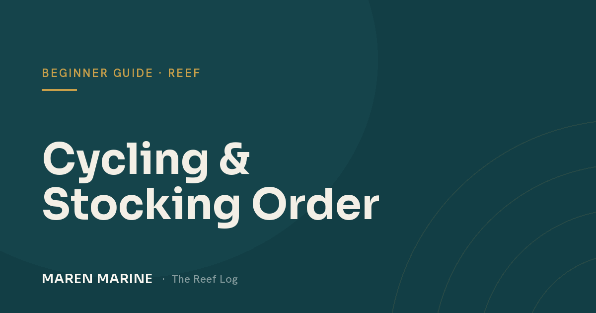 Cycling Your Tank & the Right Order to Add Livestock