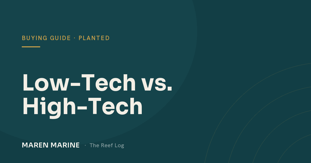 Low-Tech vs. High-Tech Planted Tanks: Which Should You Start With?