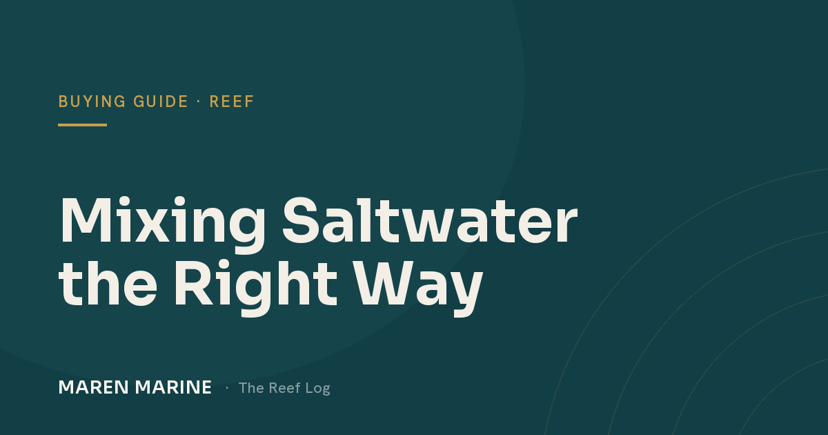 Mixing Saltwater the Right Way: A Reef Water Chemistry Guide