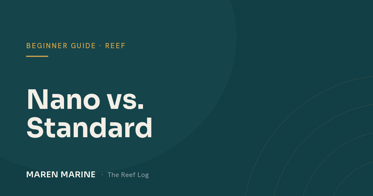 Nano vs. Standard: What Size Reef Tank Should You Start With?