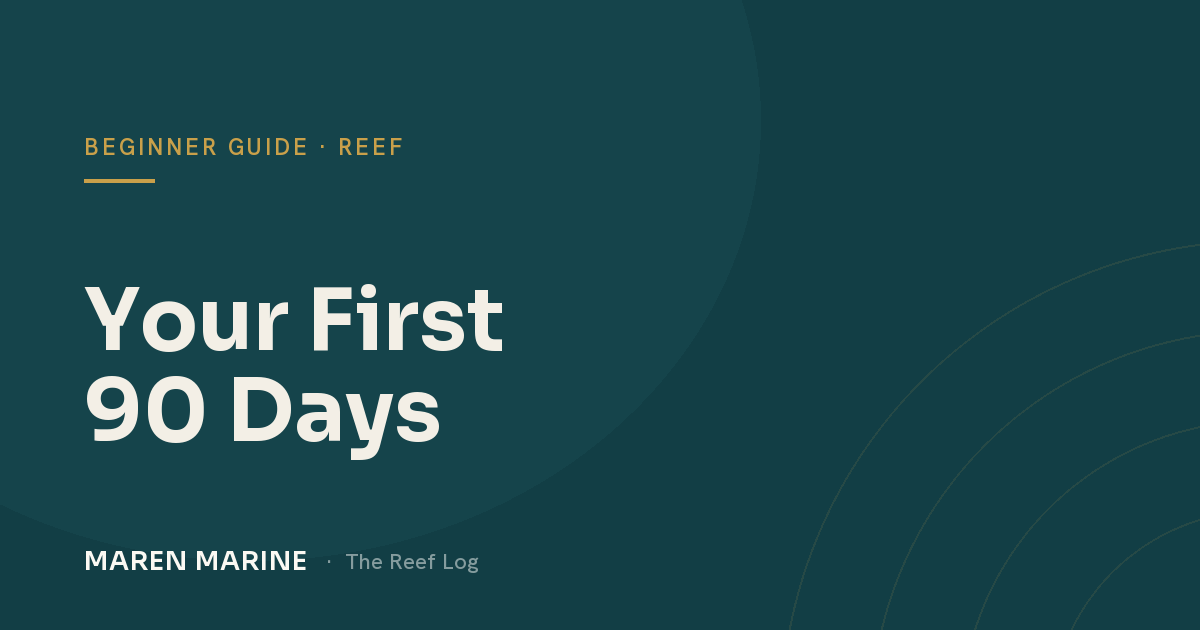 Your First 90 Days: A New Reef Tank Timeline