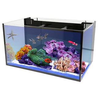 Innovative Marine NUVO Fusion 20 AIO Aquarium