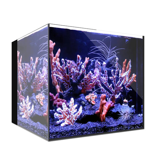 AIO 20 CUBE