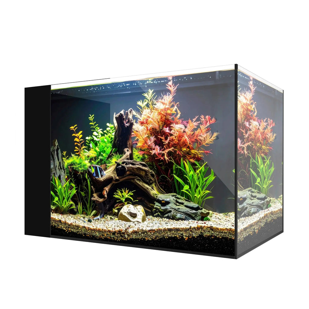 AIO 25 PENINSULA