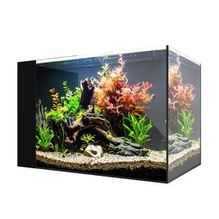 AIO 25 PENINSULA