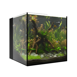 AIO 10 CUBE