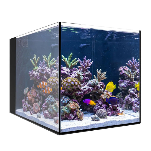 AIO 15 PENINSULA