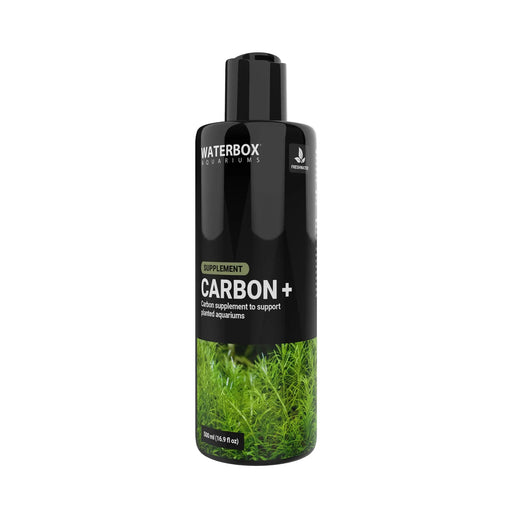 Carbon+
