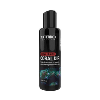 Coral Dip