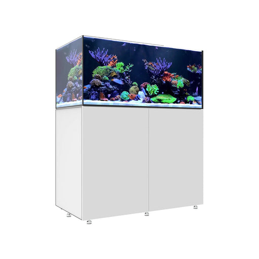 INFINIA Reef 150.4