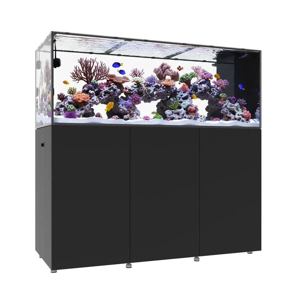 INFINIA PENINSULA 6025