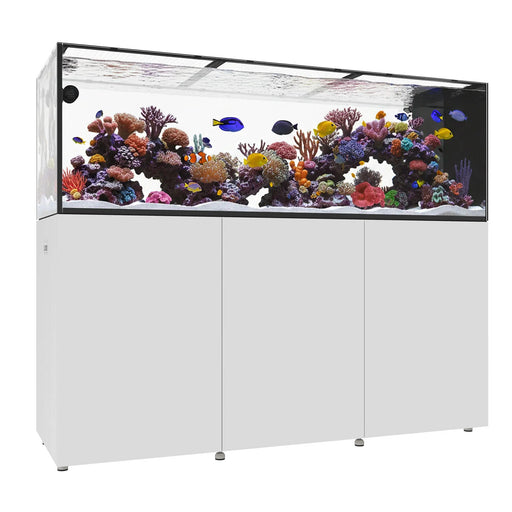 INFINIA PENINSULA 7225