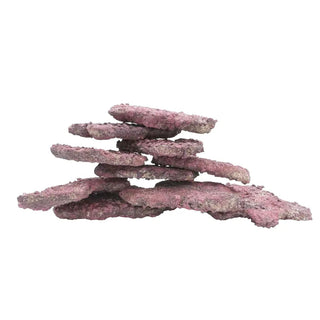 LifeRock Ledges 10 pk