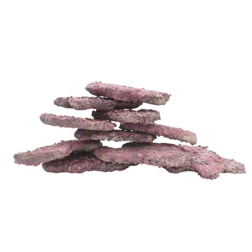 LifeRock Ledges 10 pk