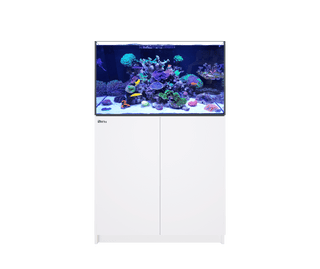 Red Sea Reefer 250 G2+ Aquarium System