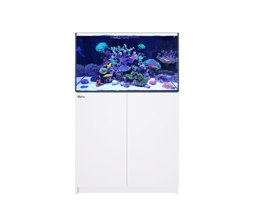 red-sea-reefer-250-g2
