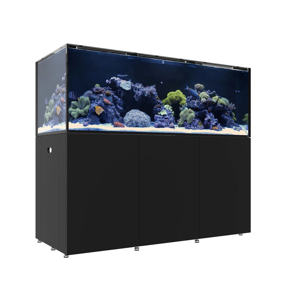 REEF LX 290.6