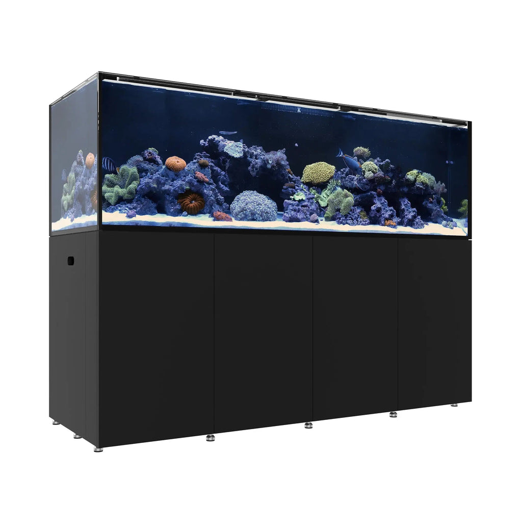 REEF LX 330.7