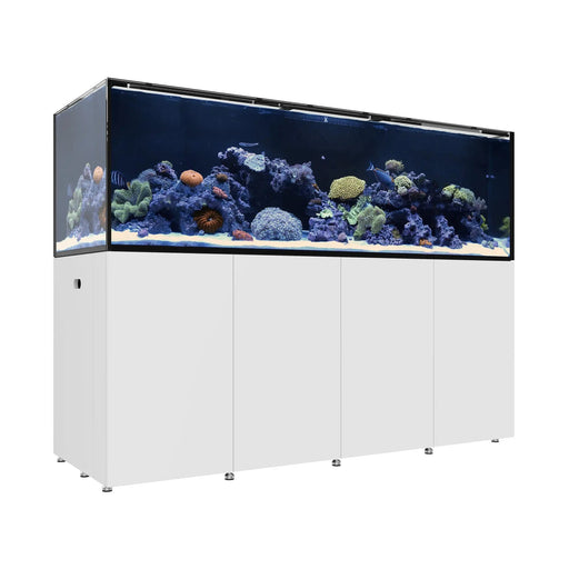 REEF LX 330.7