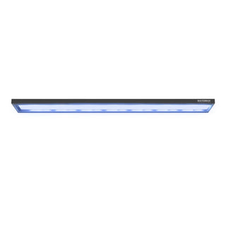 Saltwater LED Lighting System (SLED)