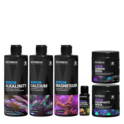 Saltwater Starter Bundle