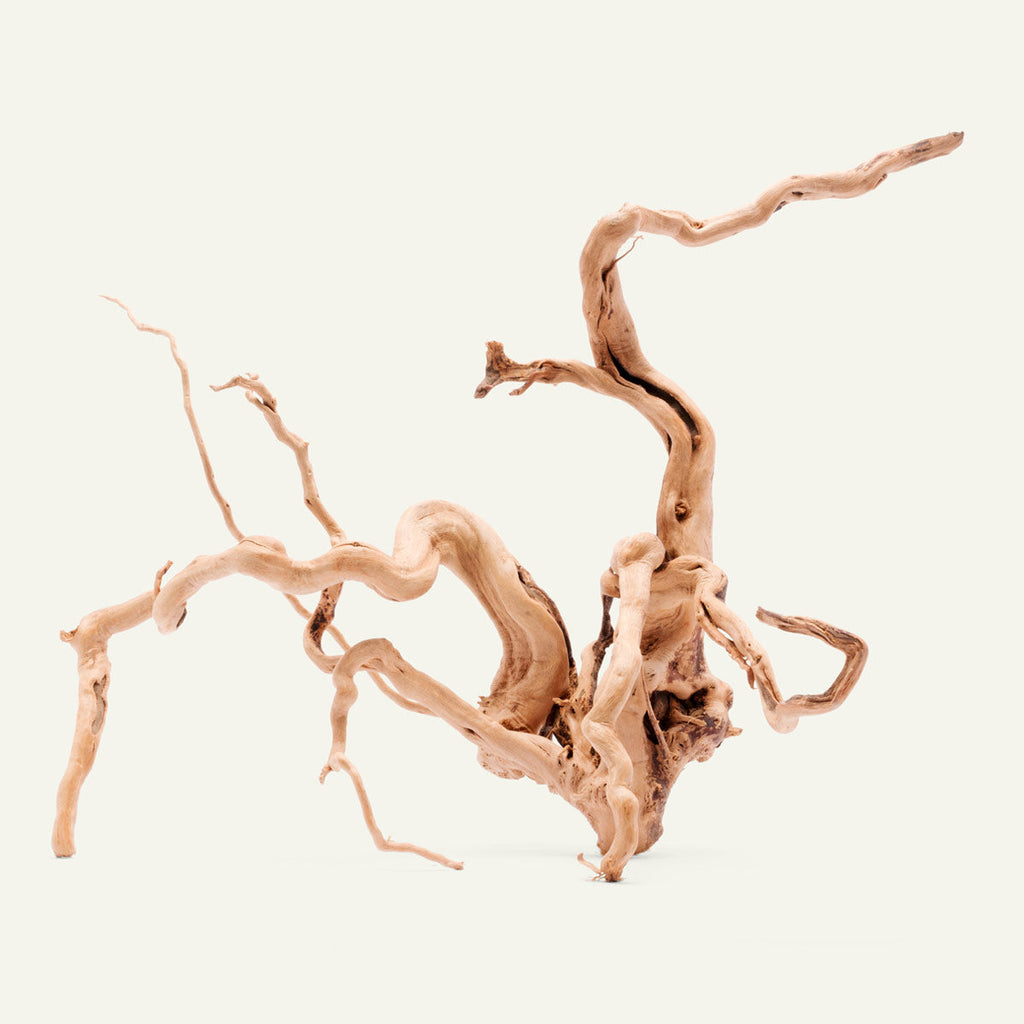 Aquascaping Driftwood — Spider, Manzanita, Malaysian & Cholla (per pc)