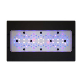 EcoTech Radion XR30 G6 LED Light