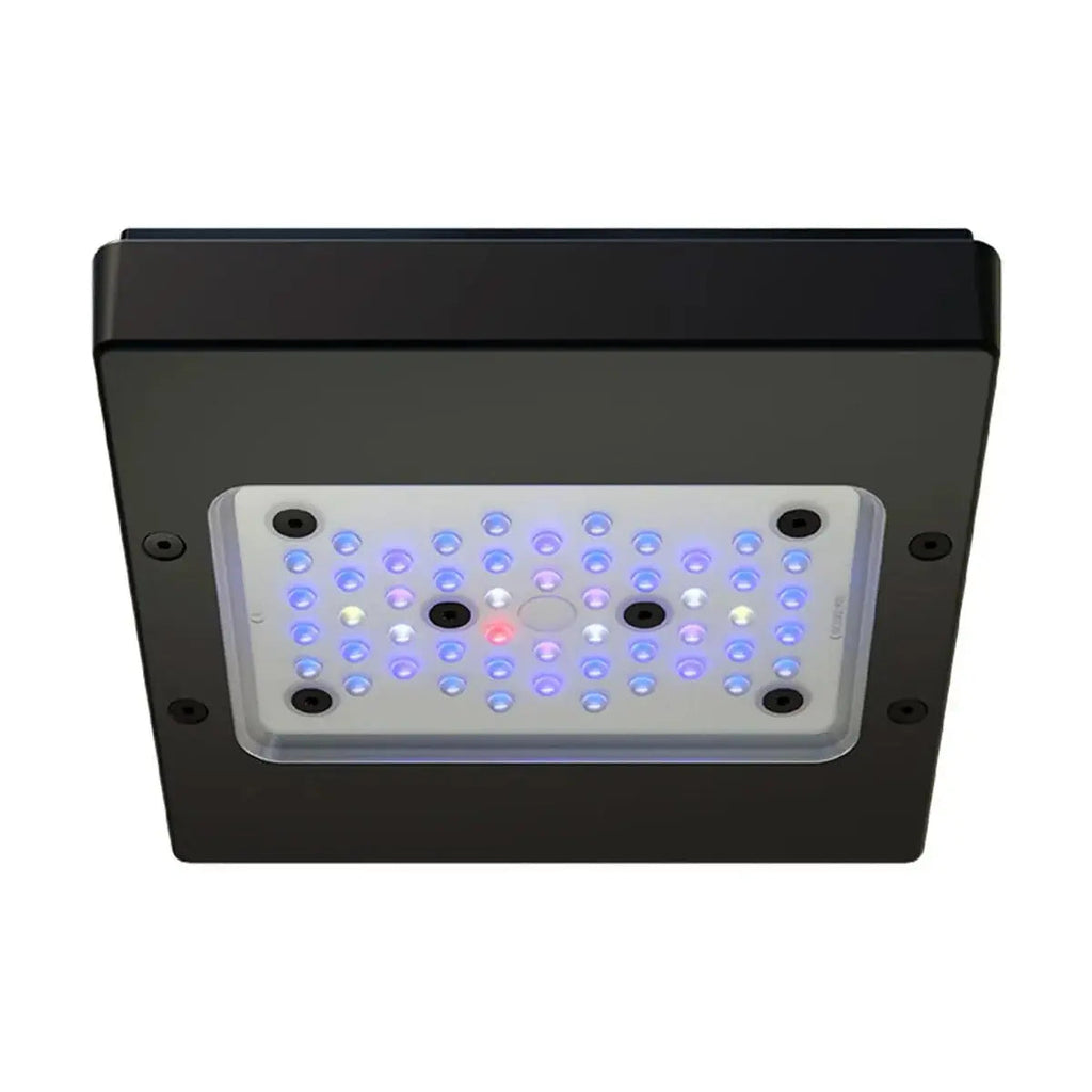 Radion XR15 G6 Blue