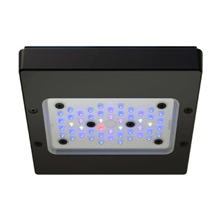 Radion XR15 G6 Blue