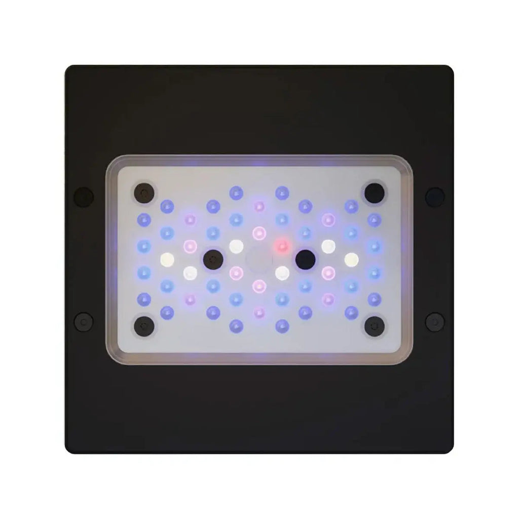 Radion XR15 G6 Blue